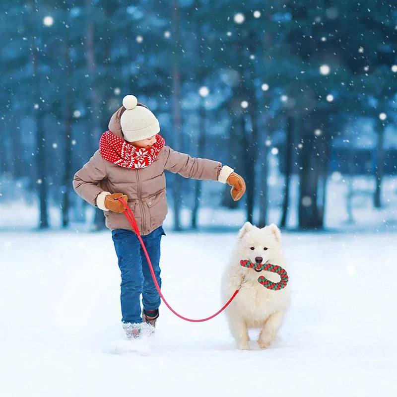 Christmas Dog Toys